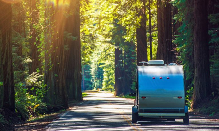 rv-driving-tree-background